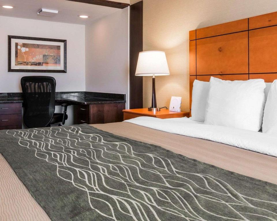 Comfort Inn Metro Airport Romulus image 10