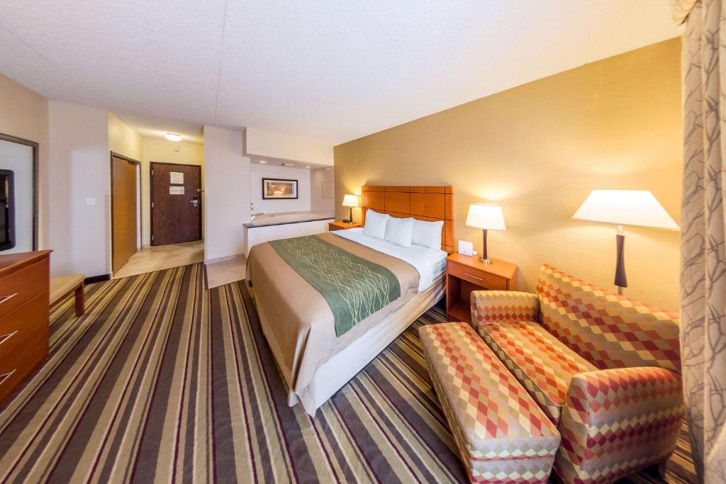 Comfort Inn Metro Airport Romulus image 11