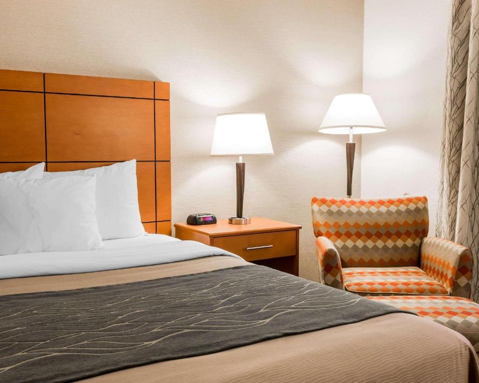 Comfort Inn Metro Airport Romulus image 15