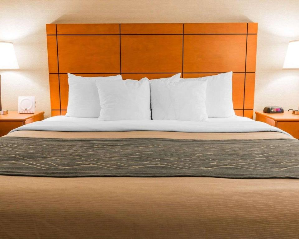 Comfort Inn Metro Airport Romulus image 16