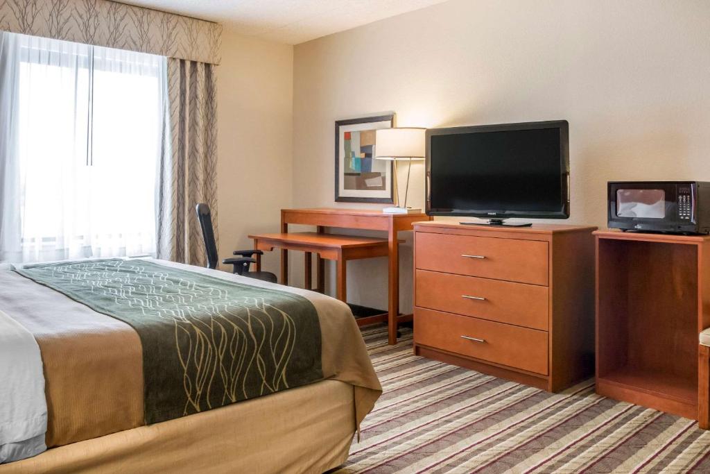 Comfort Inn Metro Airport Romulus image 17