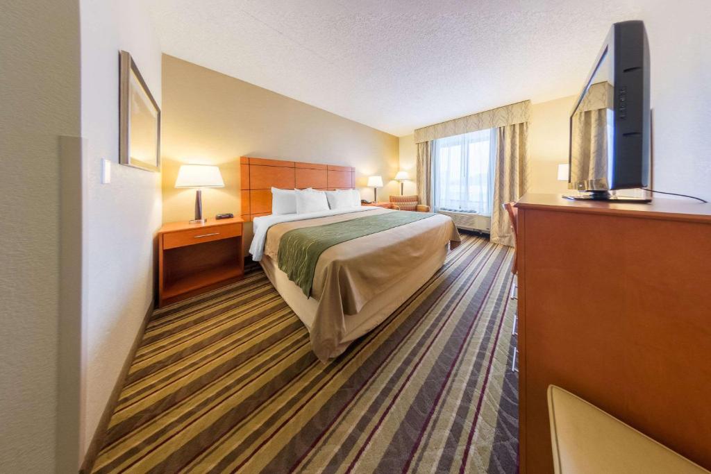 Comfort Inn Metro Airport Romulus image 21