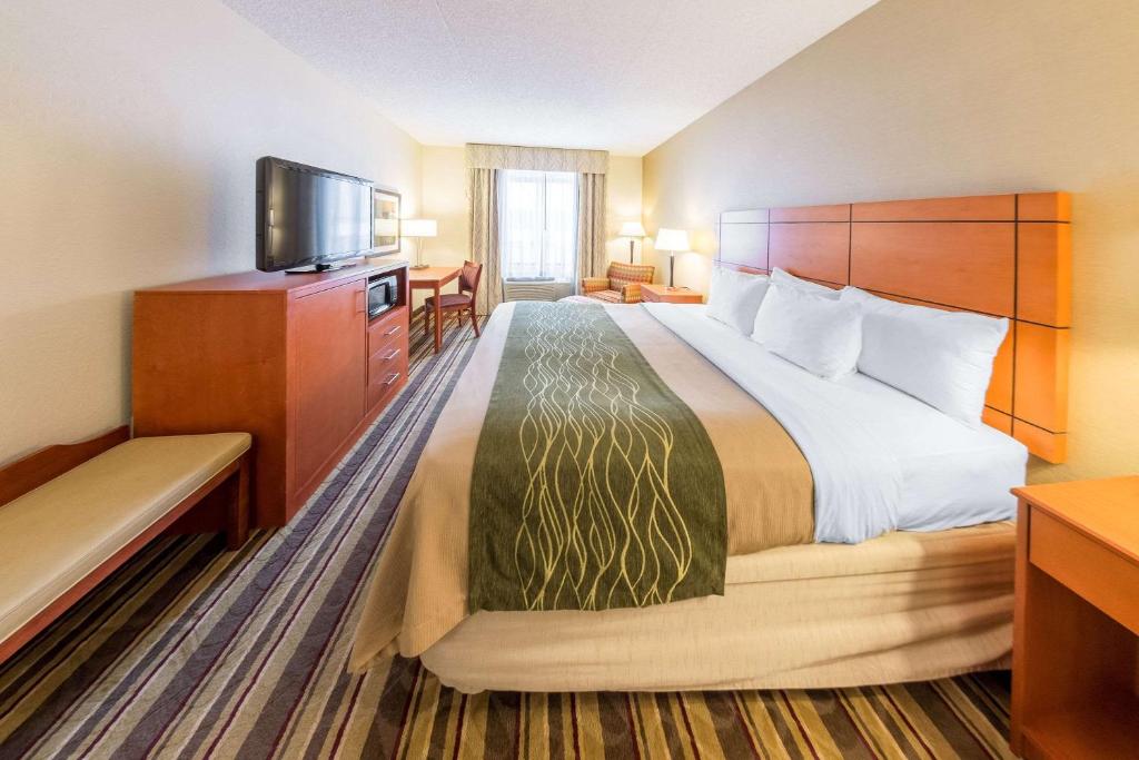 Comfort Inn Metro Airport Romulus image 22
