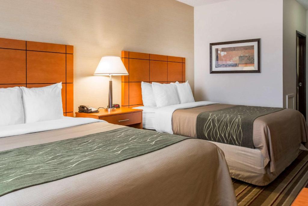 Comfort Inn Metro Airport Romulus image 23