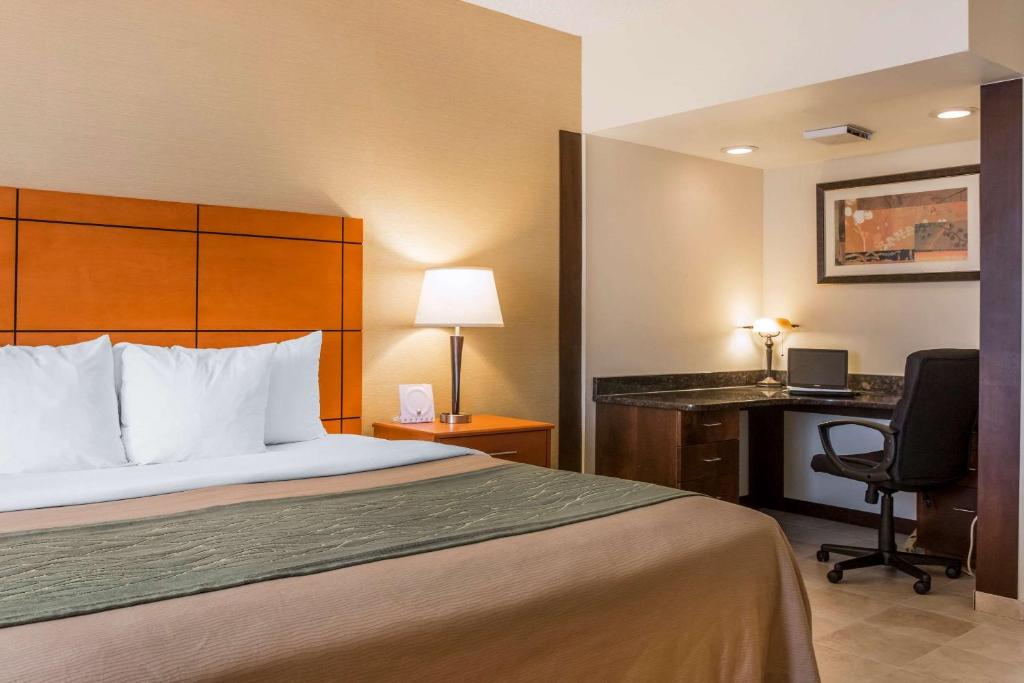 Comfort Inn Metro Airport Romulus image 25