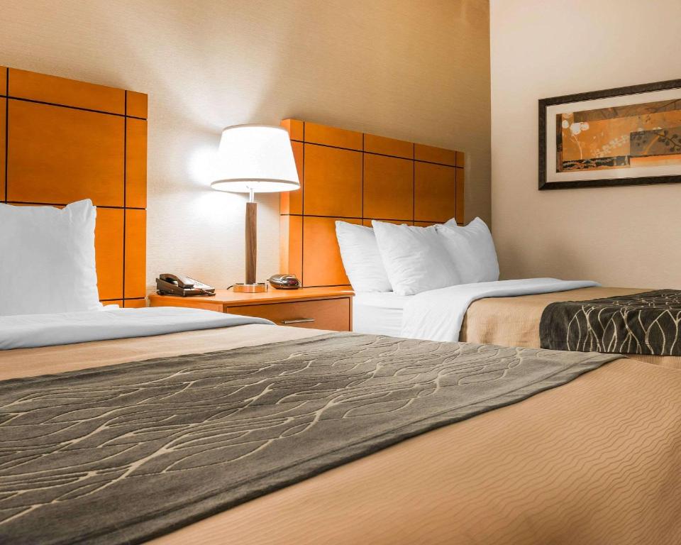 Comfort Inn Metro Airport Romulus image 6
